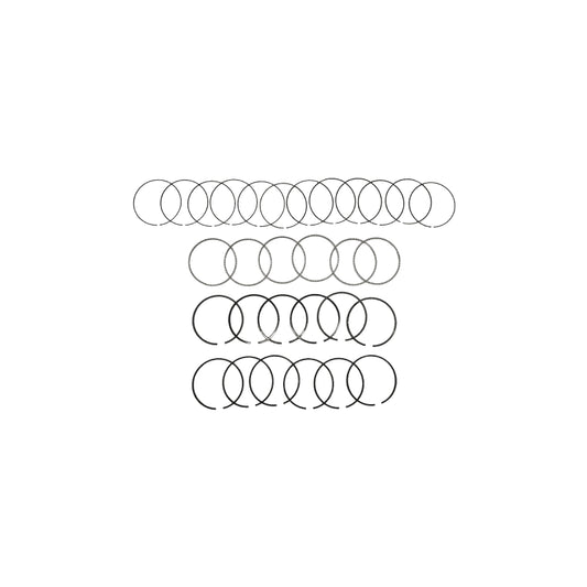 Anillos de motor HASTINGS 668-STD